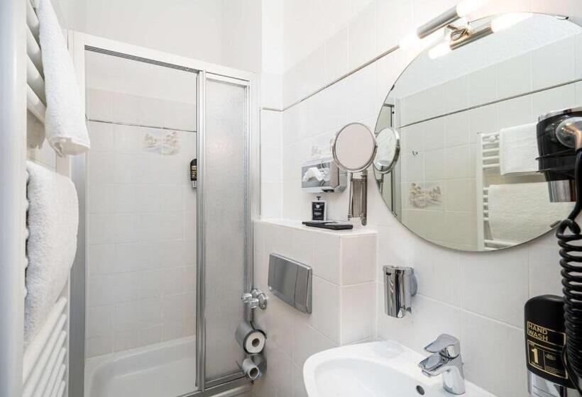 غرفة قياسية فردية, Arthotel Ana Gold