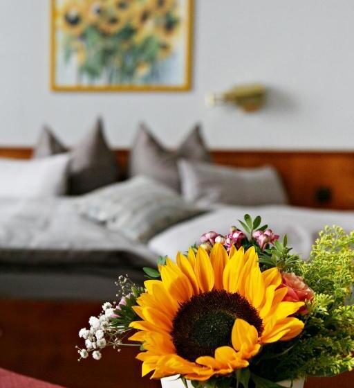 スタンダードルーム, Badhotel Bad Brückenau