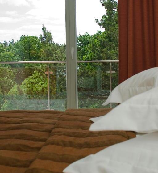 Deluxe Suite King Bed, Baltic Inn