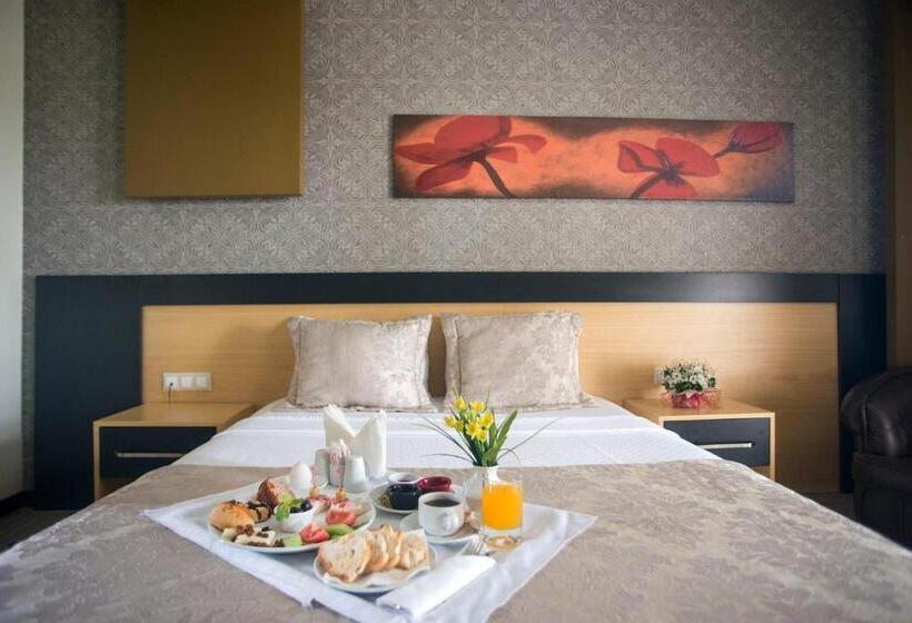 غرفة قياسية, Berksoy