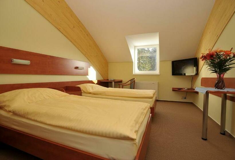 غرفة قياسية, Břízky