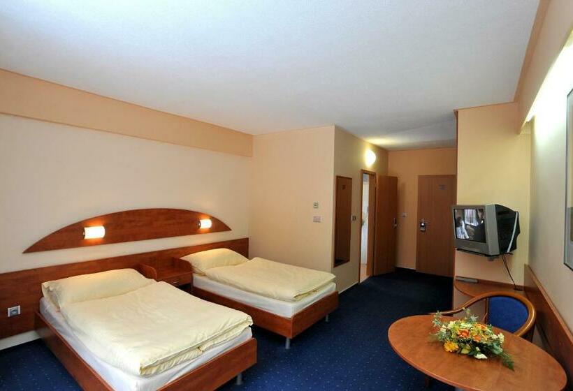 غرفة قياسية, Břízky