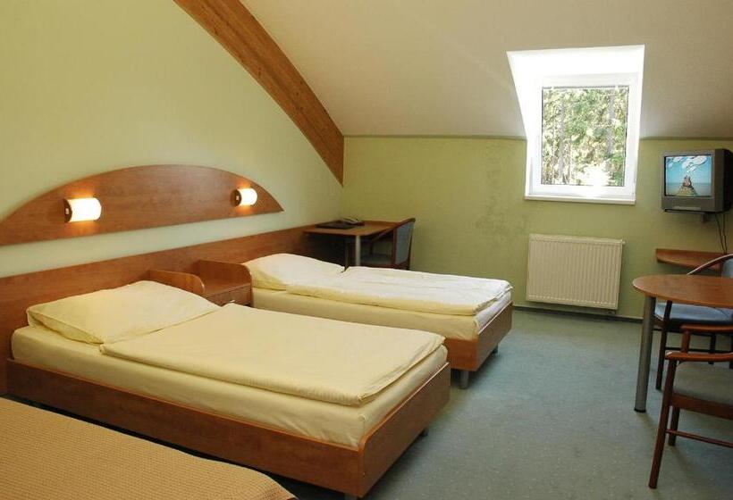 غرفة قياسية ثلاثية, Břízky