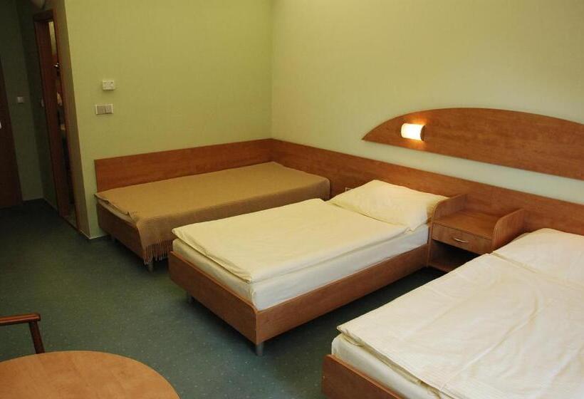 غرفة قياسية ثلاثية, Břízky