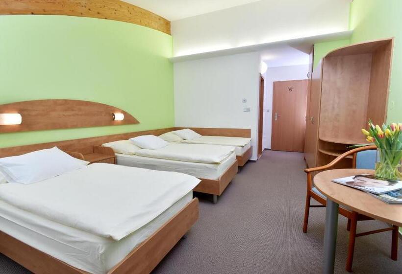 غرفة قياسية ثلاثية, Břízky