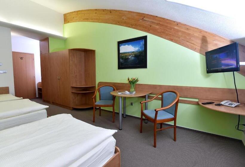 غرفة قياسية ثلاثية, Břízky