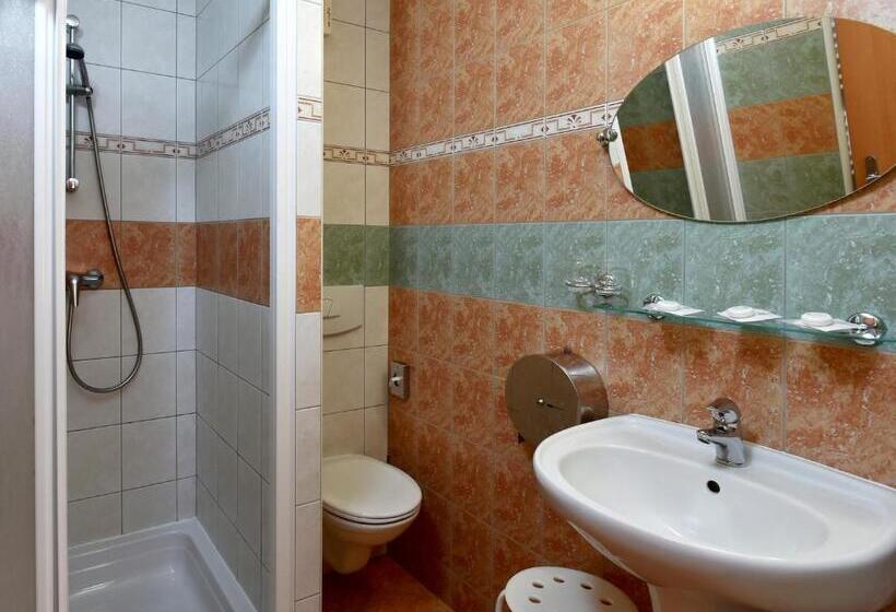 غرفة قياسية ثلاثية, Břízky