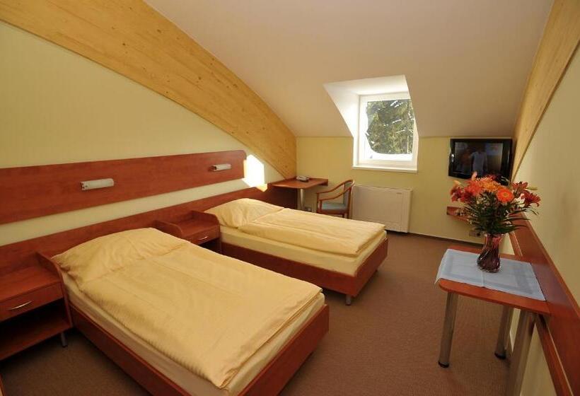 غرفة إقتصادية, Břízky