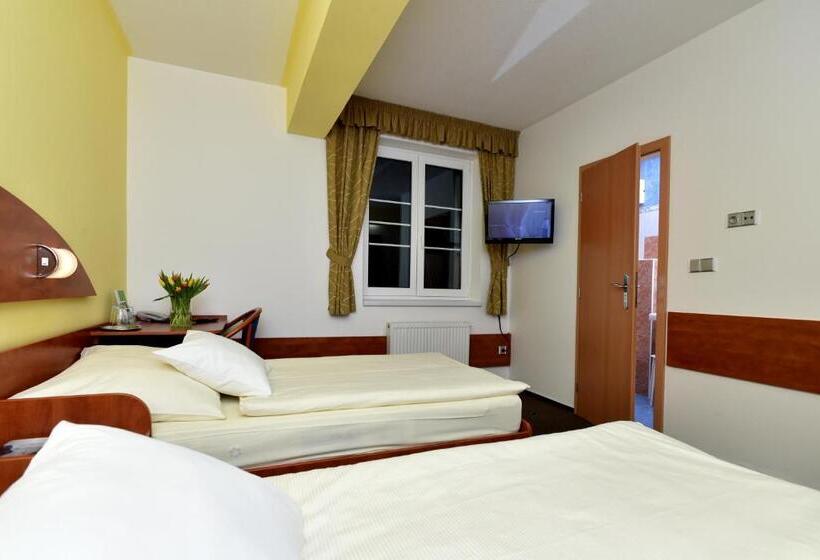 غرفة إقتصادية, Břízky