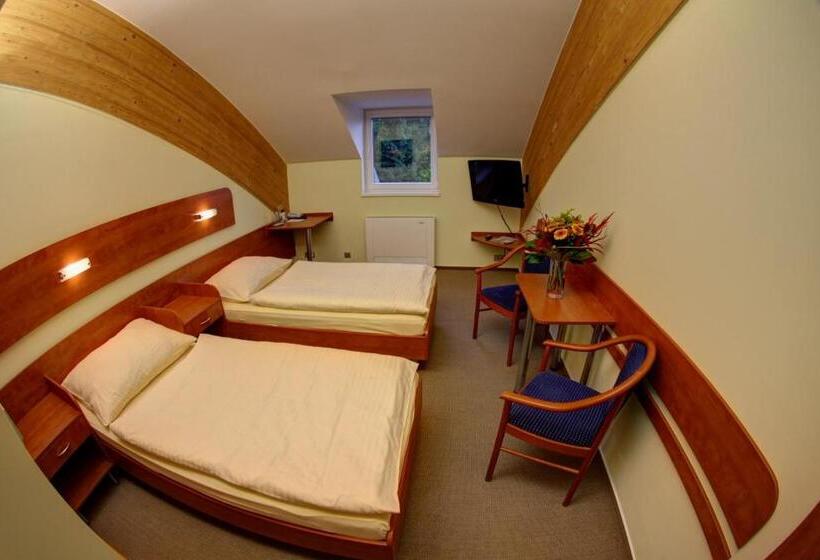 غرفة إقتصادية, Břízky