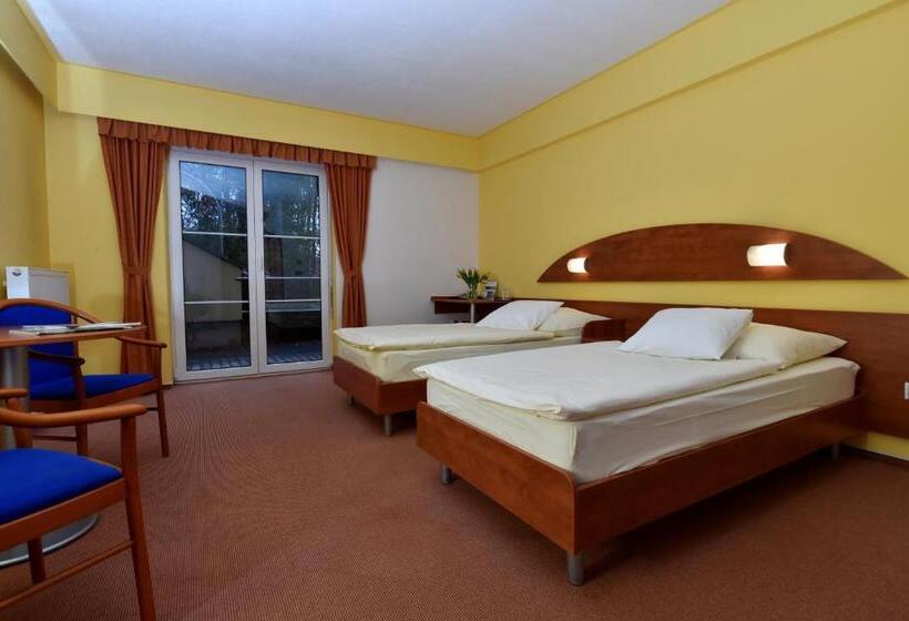 غرفة قياسية مزوَّدة بتراس, Břízky