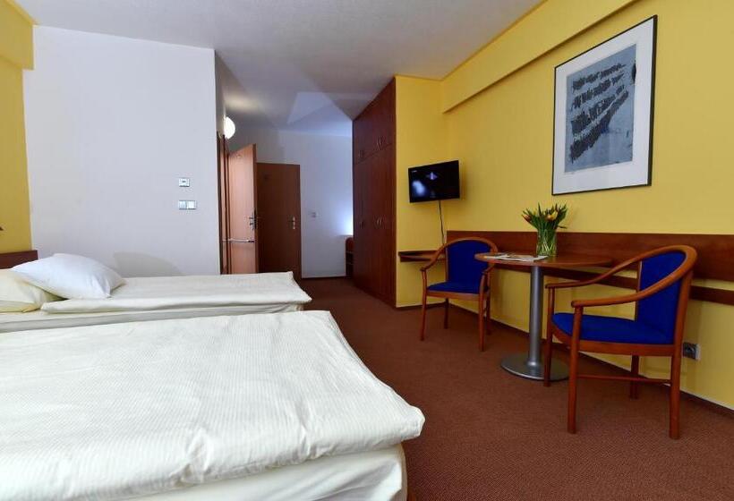 غرفة قياسية مزوَّدة بتراس, Břízky