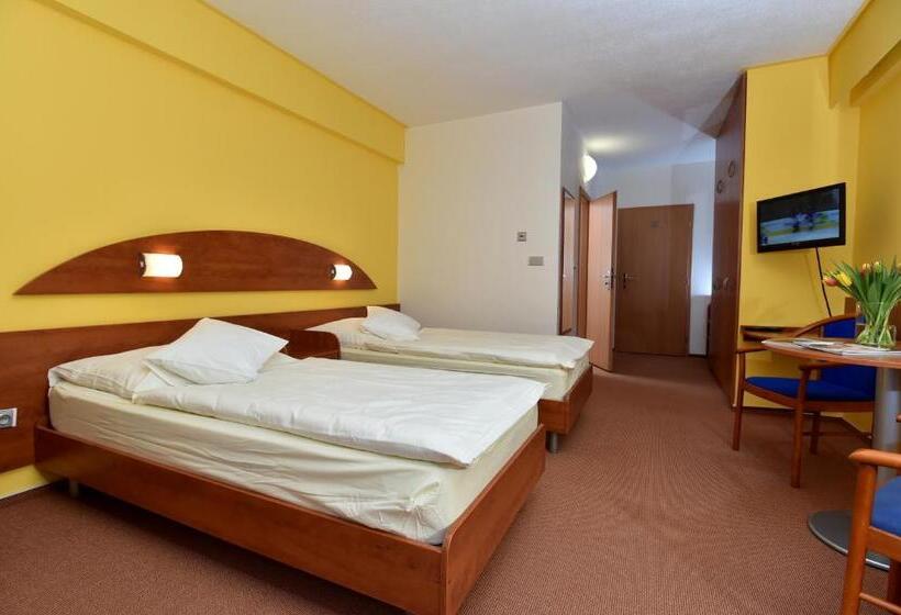 غرفة قياسية مزوَّدة بتراس, Břízky