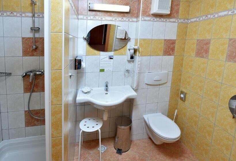 غرفة قياسية مزوَّدة بتراس, Břízky