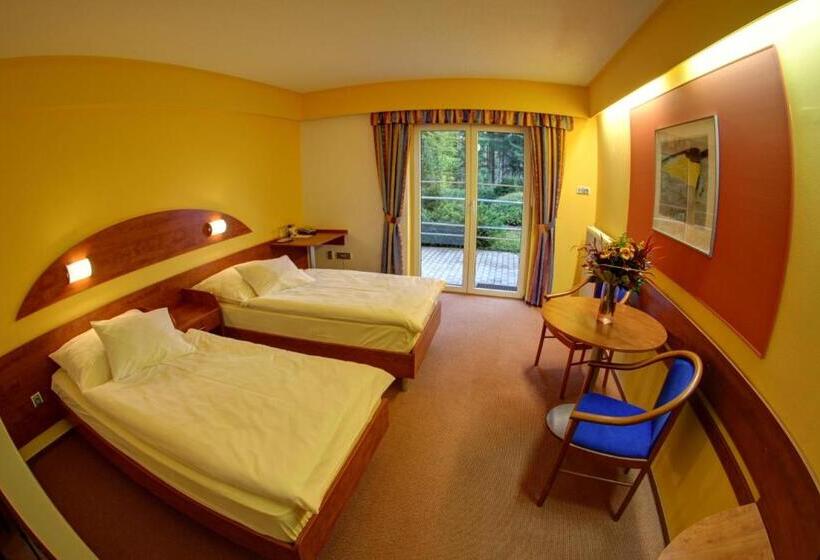 غرفة قياسية مزوَّدة بتراس, Břízky