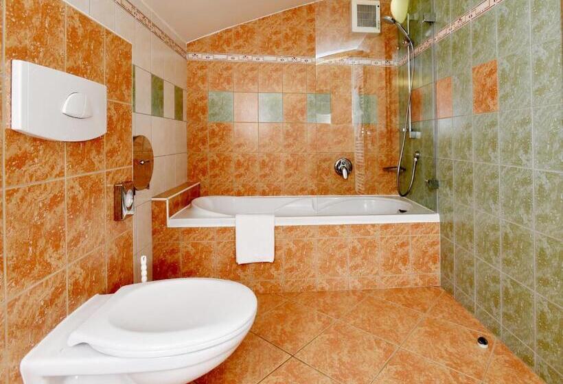 غرفة ديلوكس, Břízky