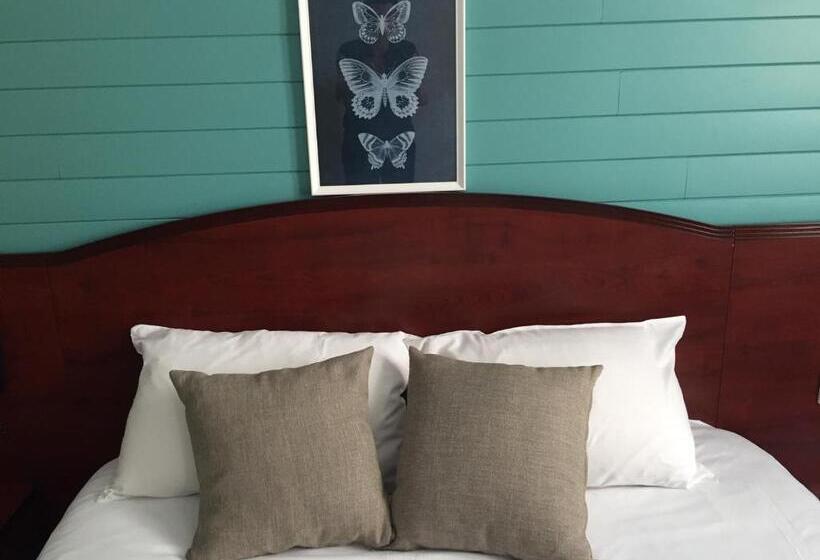 클래식 룸, Grand Hotel De La Poste Lyon Sud Vienne