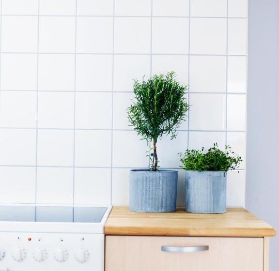 חדר משפתחתי סופריור, Kockska Gården