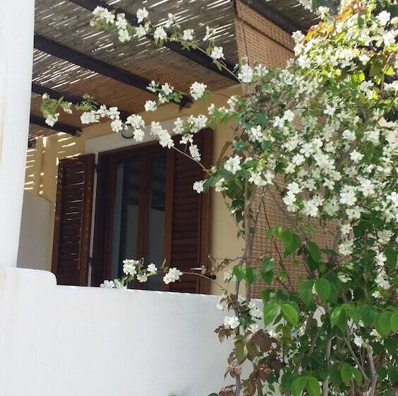 スタンダードルーム, La Zagara