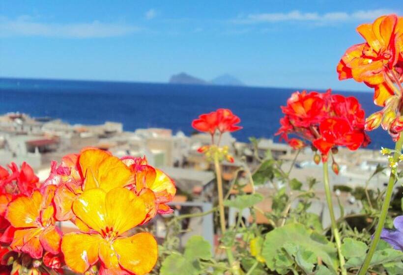 スタンダードルーム, La Zagara