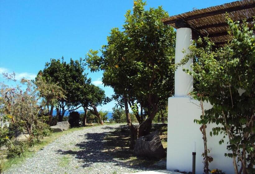 スタンダードシングルルーム, La Zagara