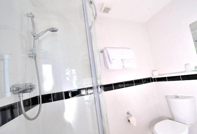 带海景的标准单人间, Pentire