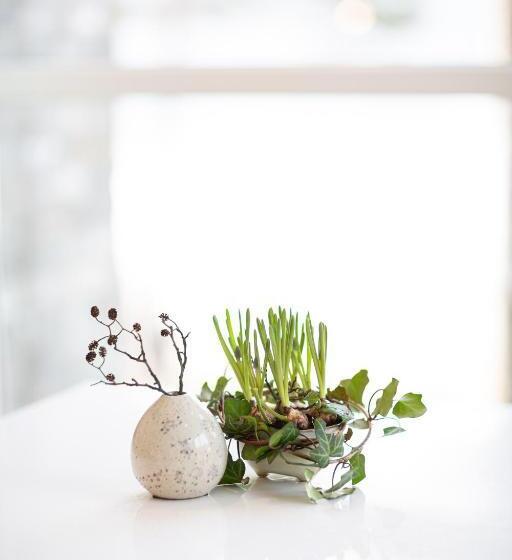 חדר סטנדרט, Rosfjord Strand