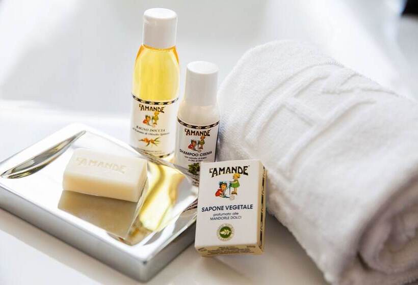 חדר סופריור נוף לעיר, Savoia