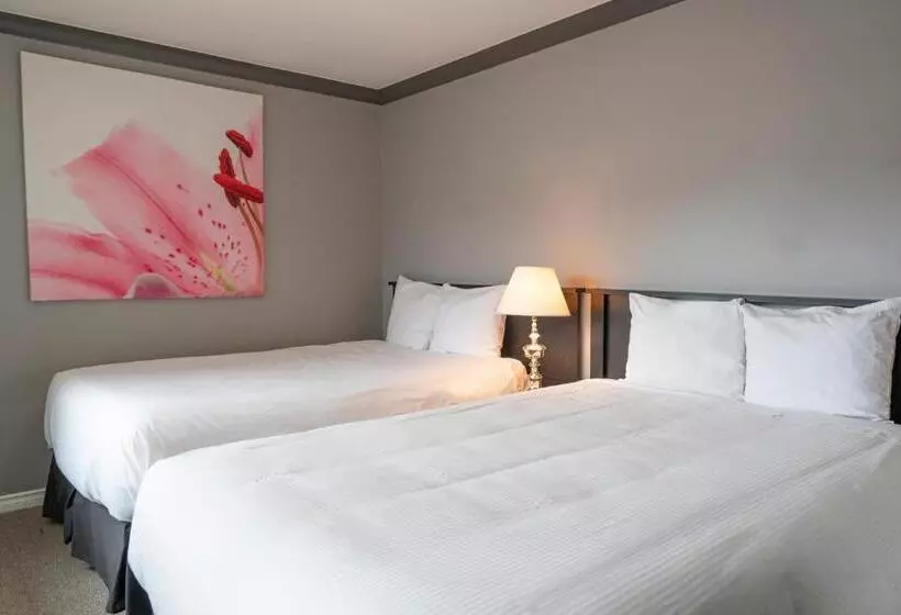 デラックススイート２ベッドルーム, Tiki Shores Inn & Suites