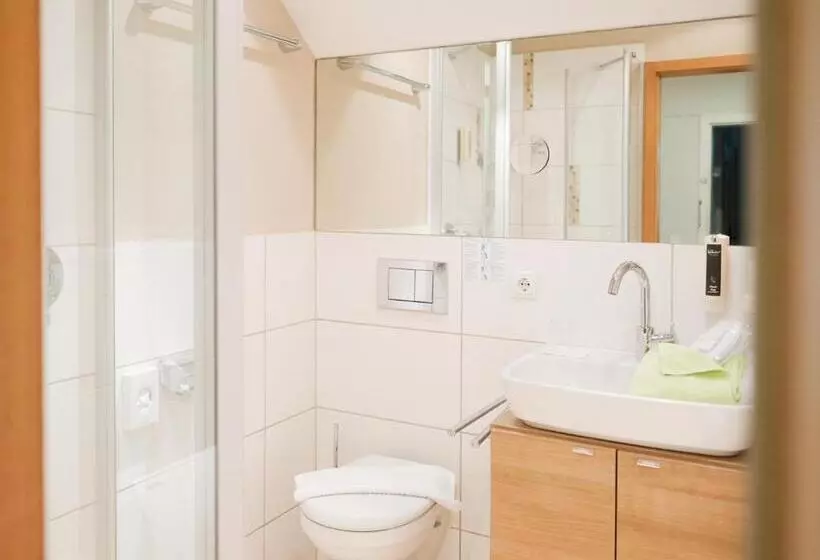 اتاق استاندارد یک نفره, The Townhouse Ruhpolding