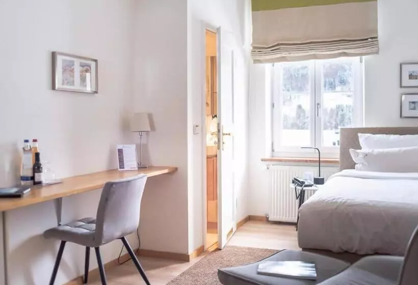 اتاق استاندارد یک نفره, The Townhouse Ruhpolding