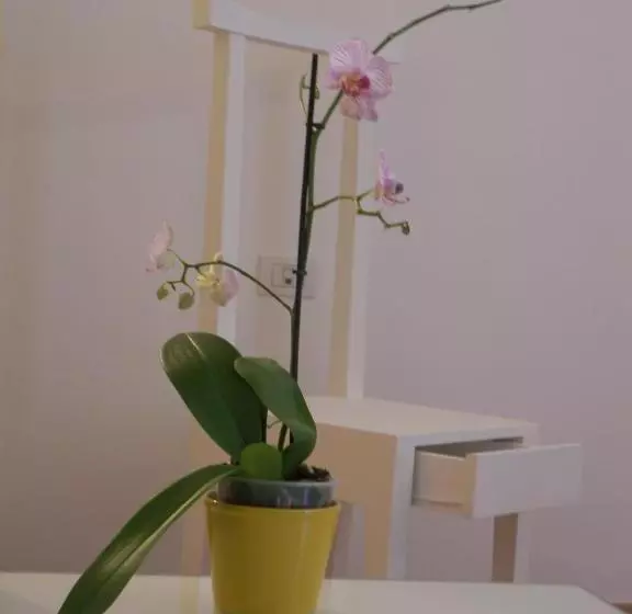 スタンダードルーム, Albergo  La Vigna