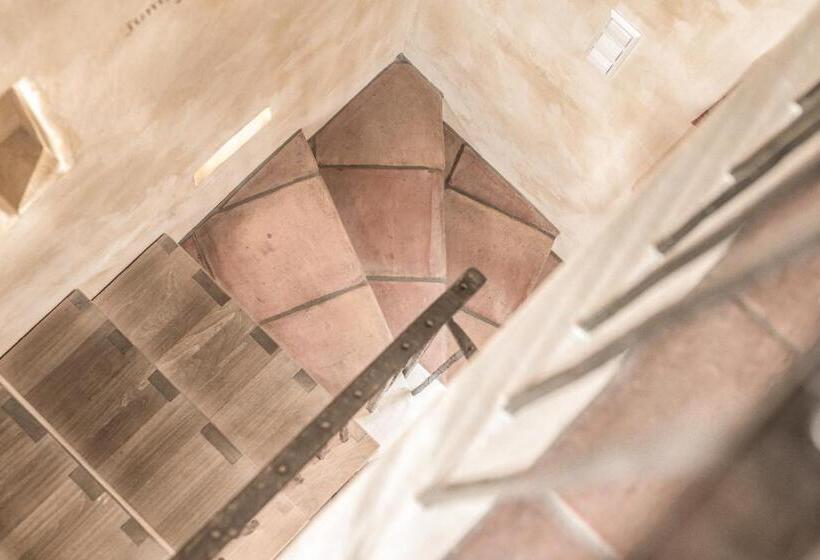 Номер Стандарт Тематический, Arthus