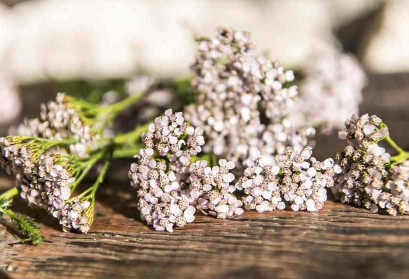 חדר סטנדרט יחיד עם מרפסת, Cristallo