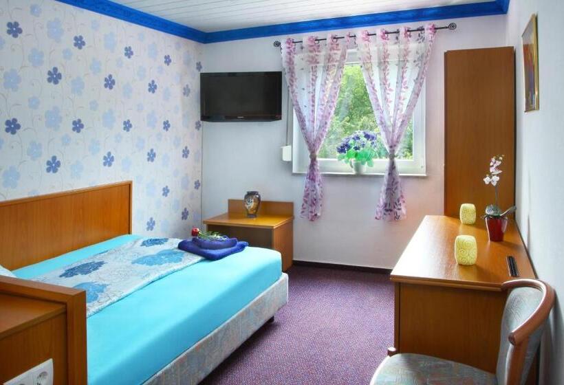 스탠다드 싱글 룸, Im Rheintal