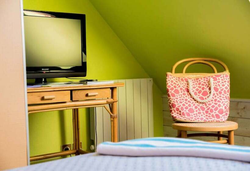 클래식 룸, L'hippocampe