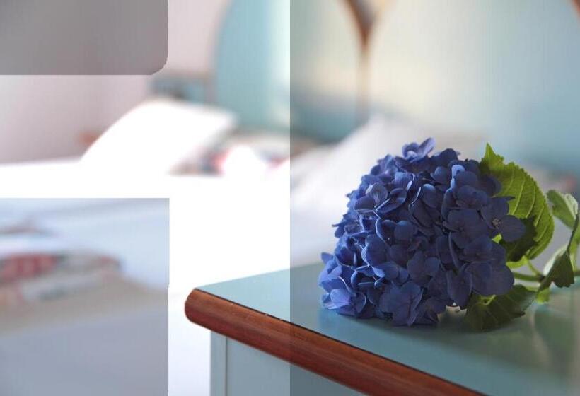 스탠다드 룸, San Filis