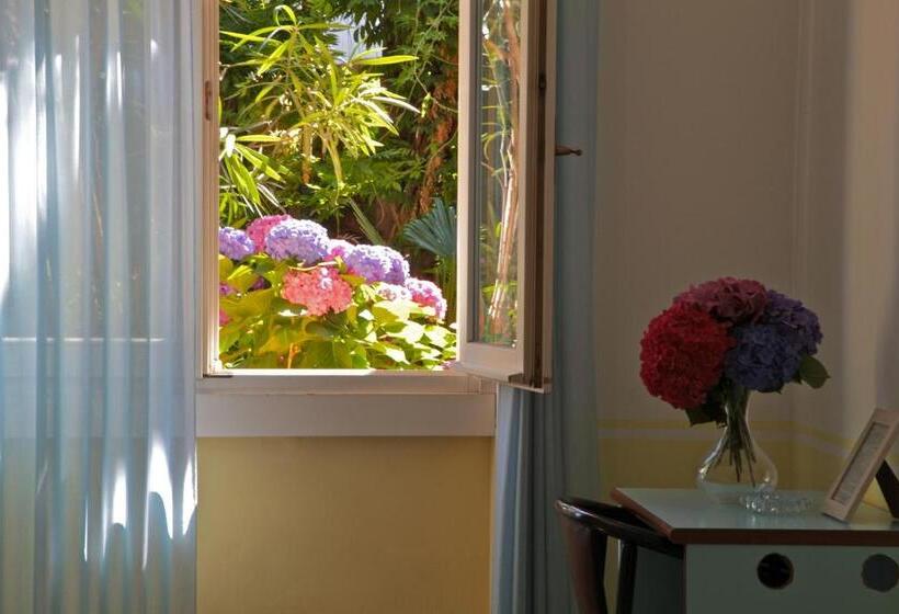 스탠다드 룸, San Filis