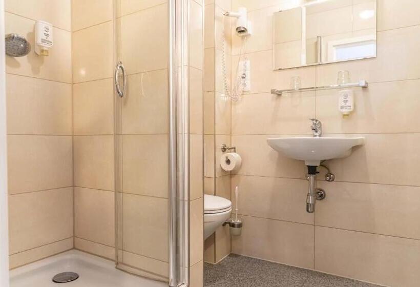 Номер Стандарт Индивидуальный, Parkhotel Friedrichstrasse