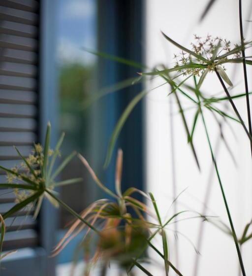 Номер Стандарт, Quartara Boutique