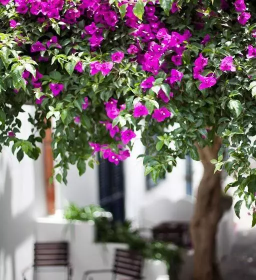 اتاق استاندارد, Quartara Boutique