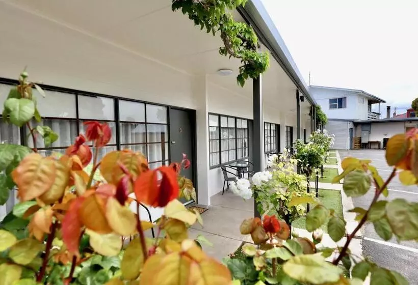 エコノミールーム, Guichen Bay Motel