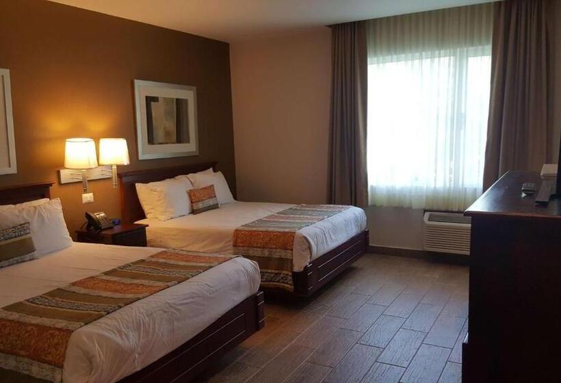 スタンダードルーム, Best Western Bazarell Inn