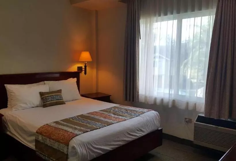 キングサイズベッドのスイートルーム, Best Western Bazarell Inn
