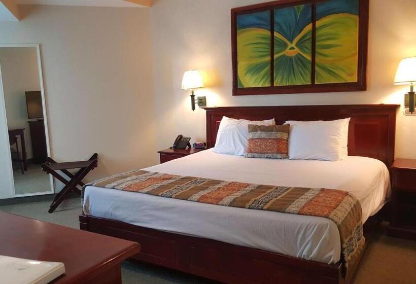 스탠다드 룸, Best Western Bazarell Inn