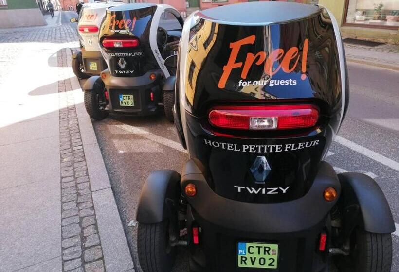 اتاق راحتی, Petite Fleur   Adults Only ! Air Conditioning !