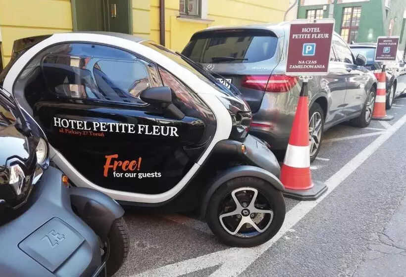 デラックスルーム, Petite Fleur   Adults Only ! Air Conditioning !