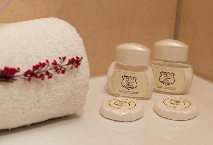 اتاق اکونومی, Petite Fleur   Adults Only ! Air Conditioning !