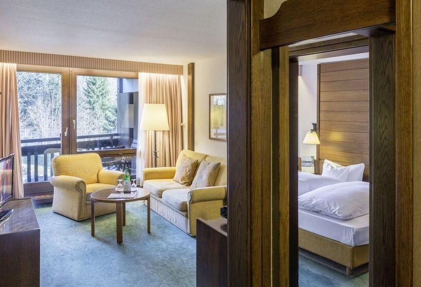 经典套房, Vier Jahreszeiten Am Schluchsee