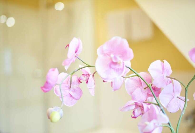 豪华房间, Zur Alten Brucke